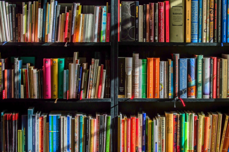 vitrine-GORBIO-min_books_bookstore_book_reading_shop_writer_sale_books_read-822866