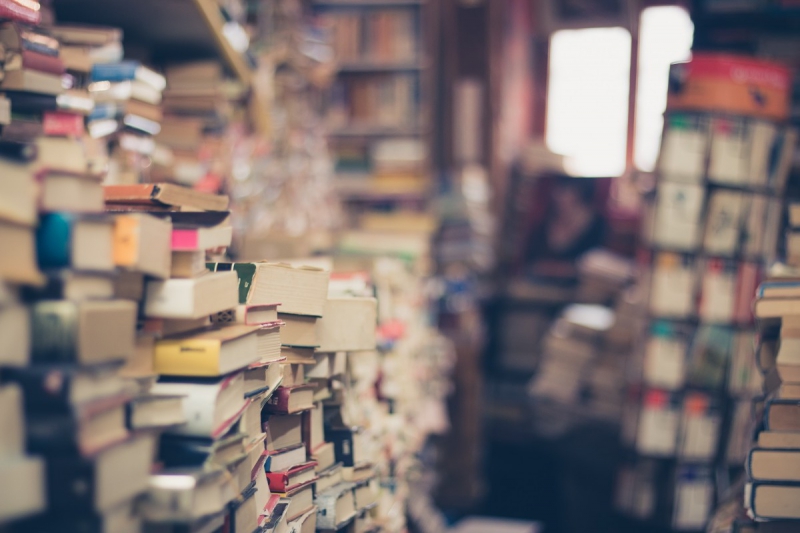 vitrine-GORBIO-min_books_stack_book_store_stack_of_books_2nd_hand_retro_hipster_shop-829090